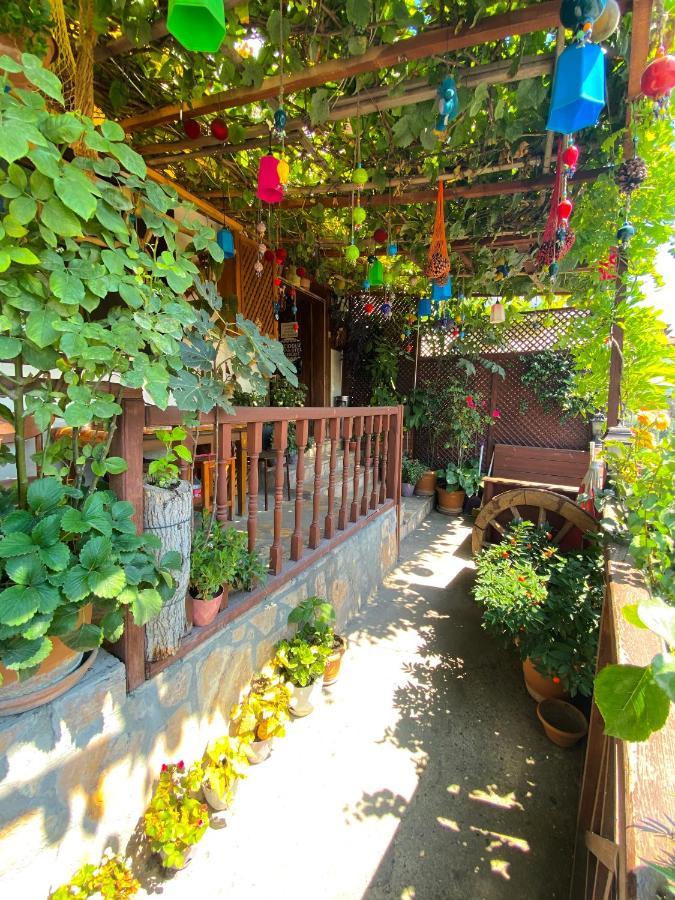 Avcioglu Konak Otel Safranbolu Kültér fotó